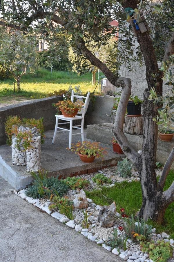 Greenvine Apartment Zadar Eksteriør billede
