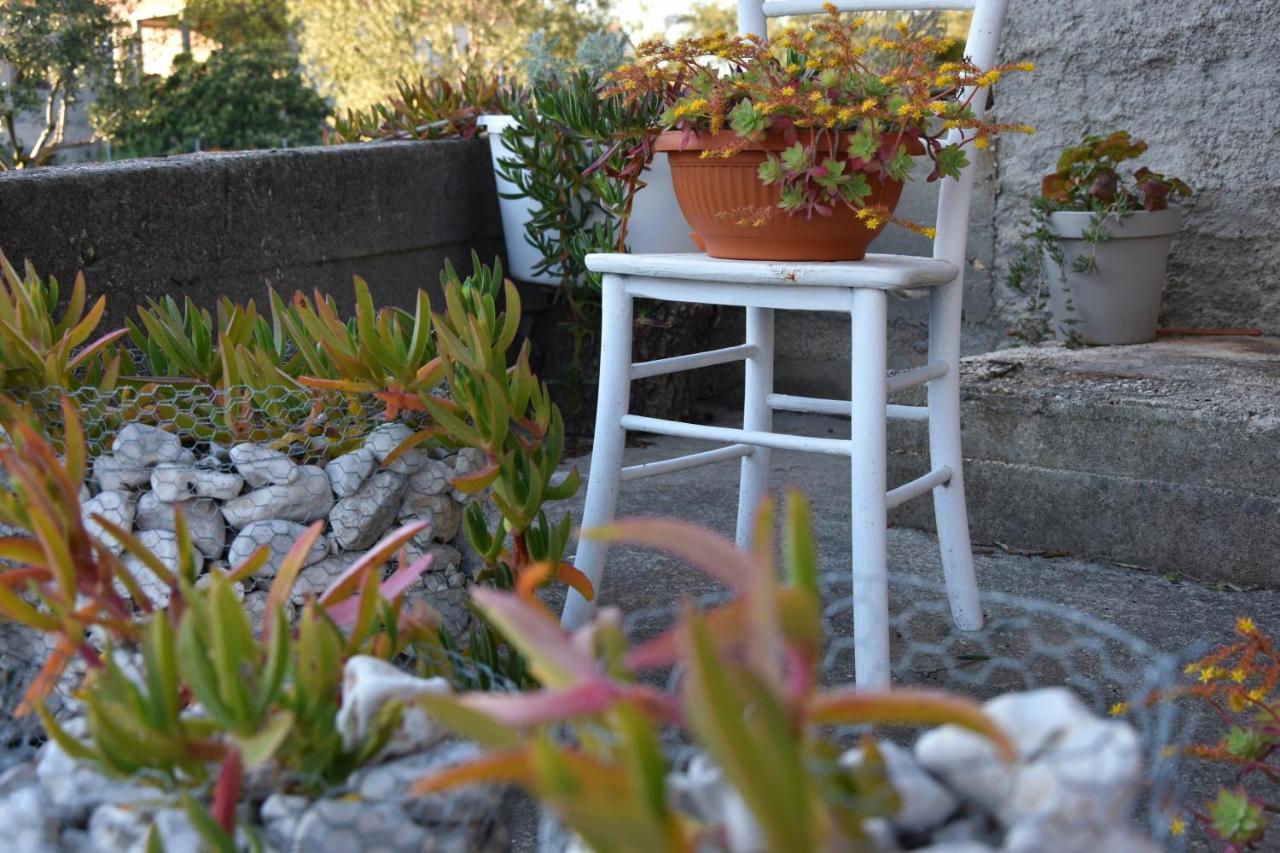 Greenvine Apartment Zadar Eksteriør billede